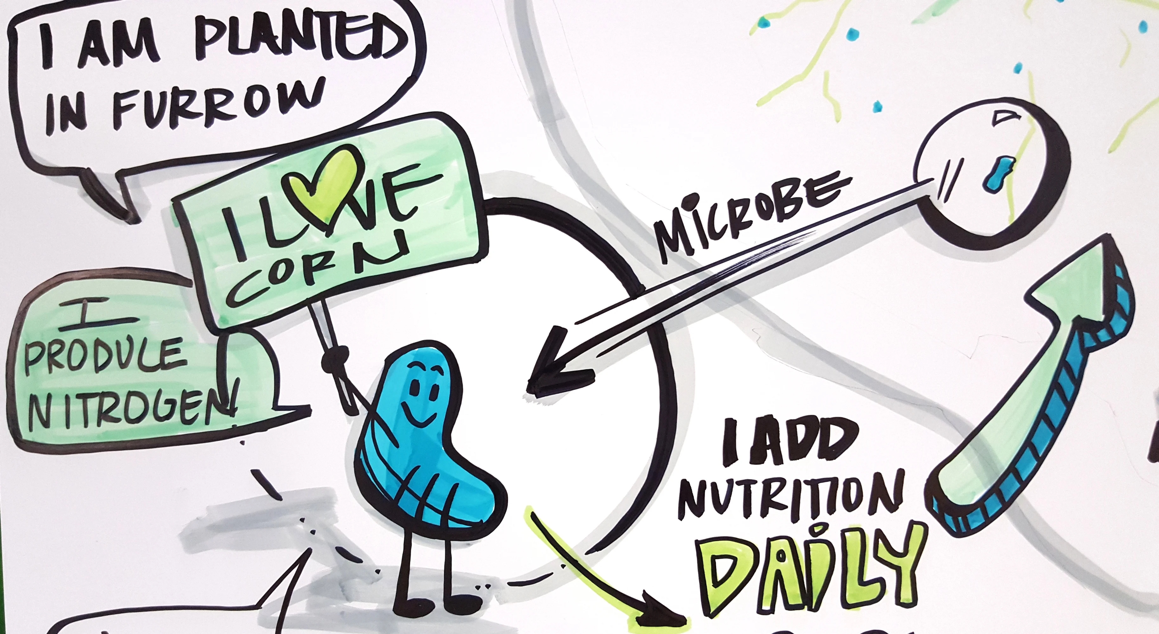 Meet Our Soil Microbes