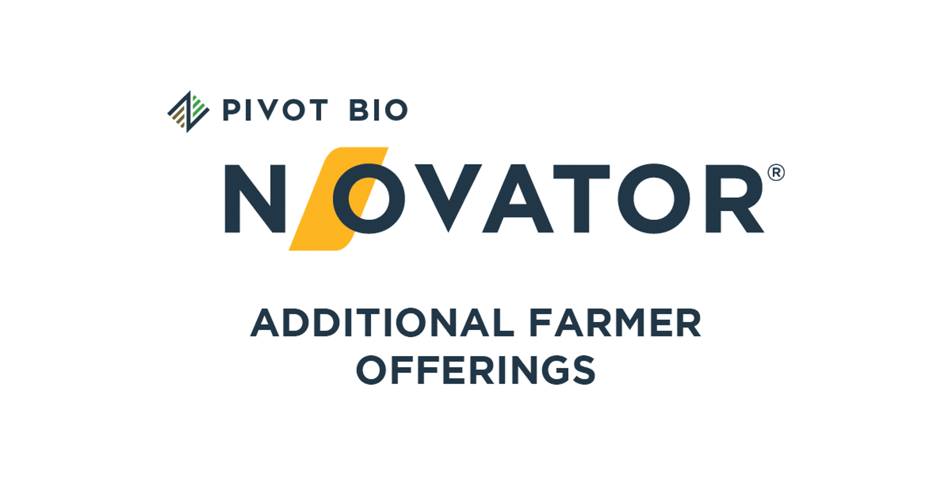 Beyond N-OVATOR® Offerings
