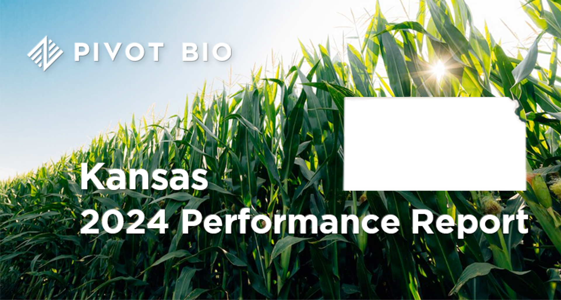 2024 Performance Report – Kansas