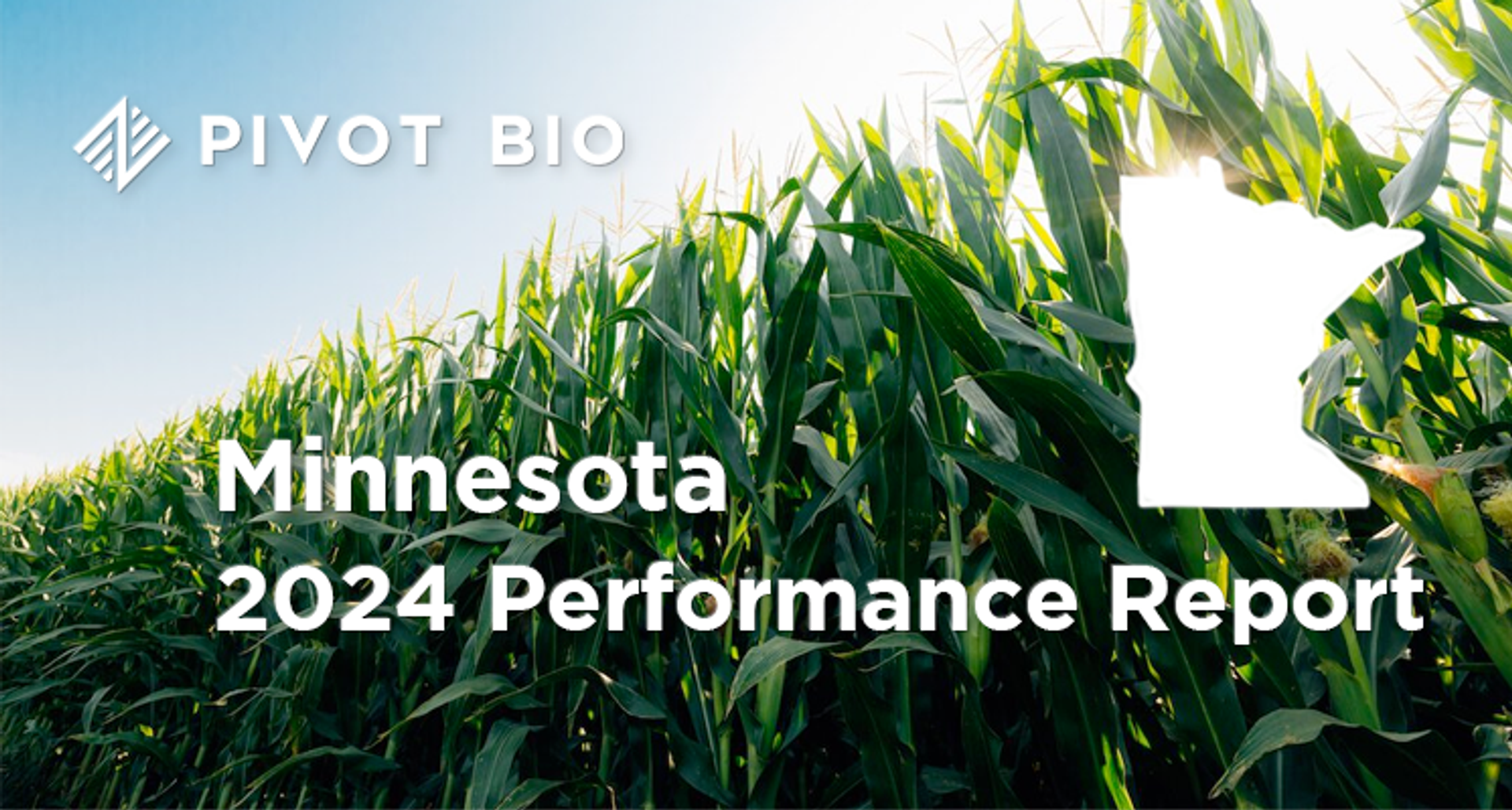 2024 Performance Report – Minnesota