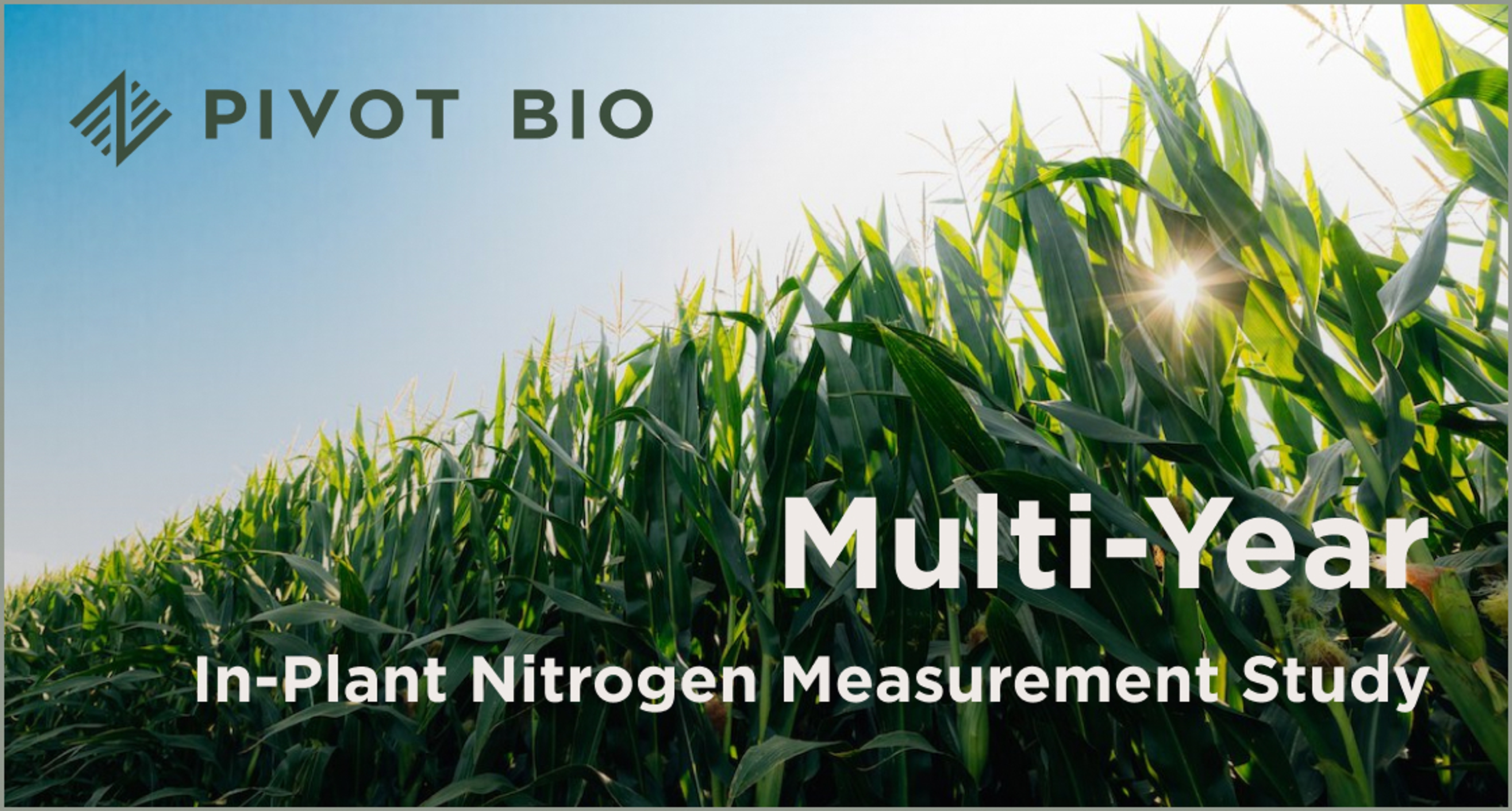 research findings yield Multi-Year In-Plant Nitrogen Study