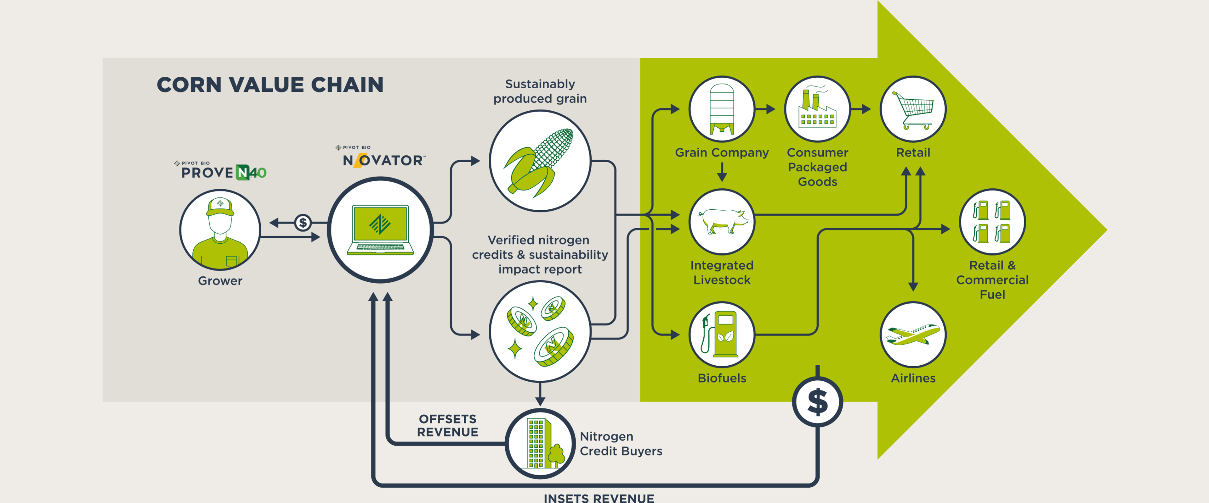 Illustration of the corn value chain 