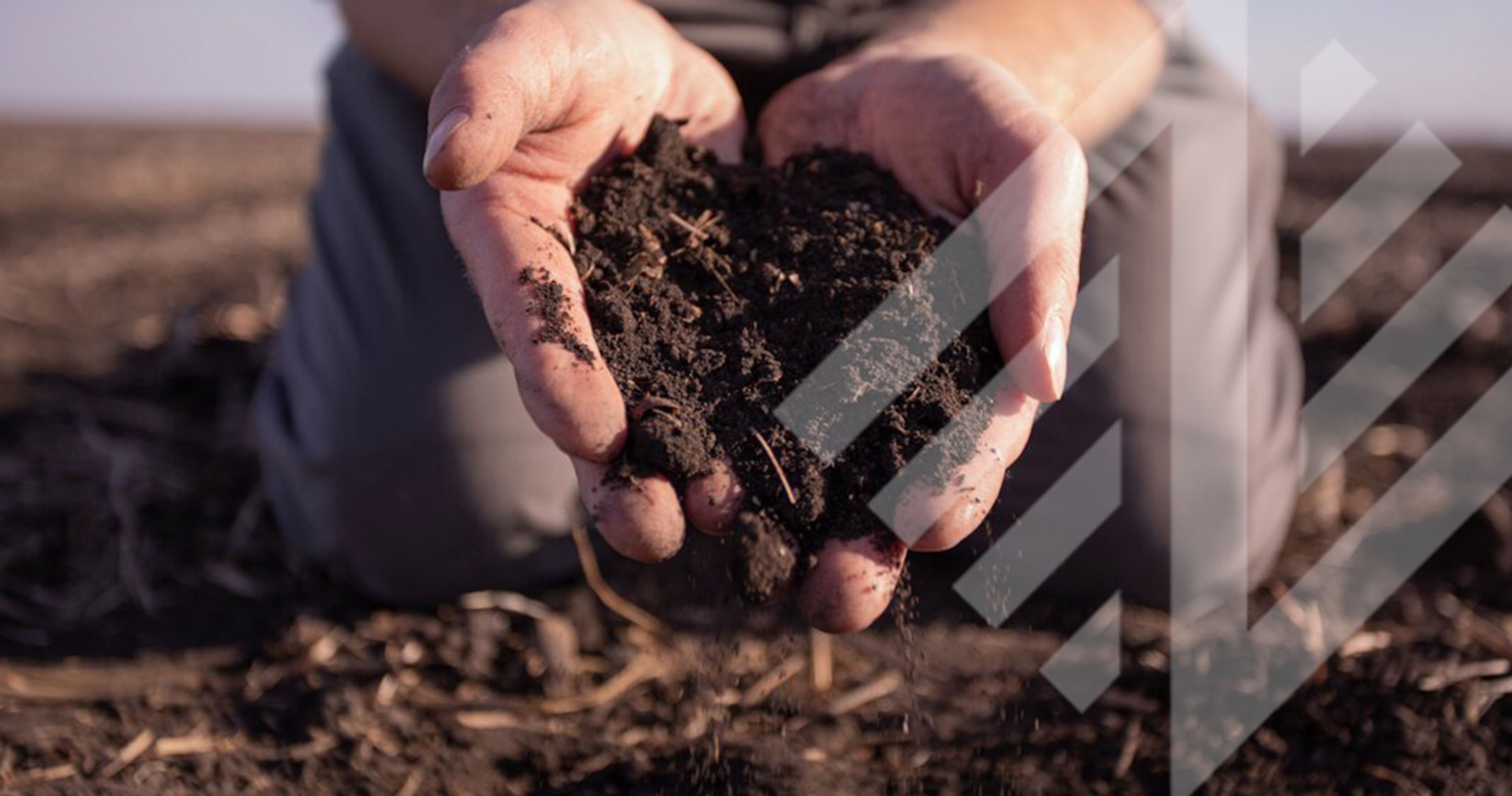 Unlocking Crop Potential with Microbial Nitrogen