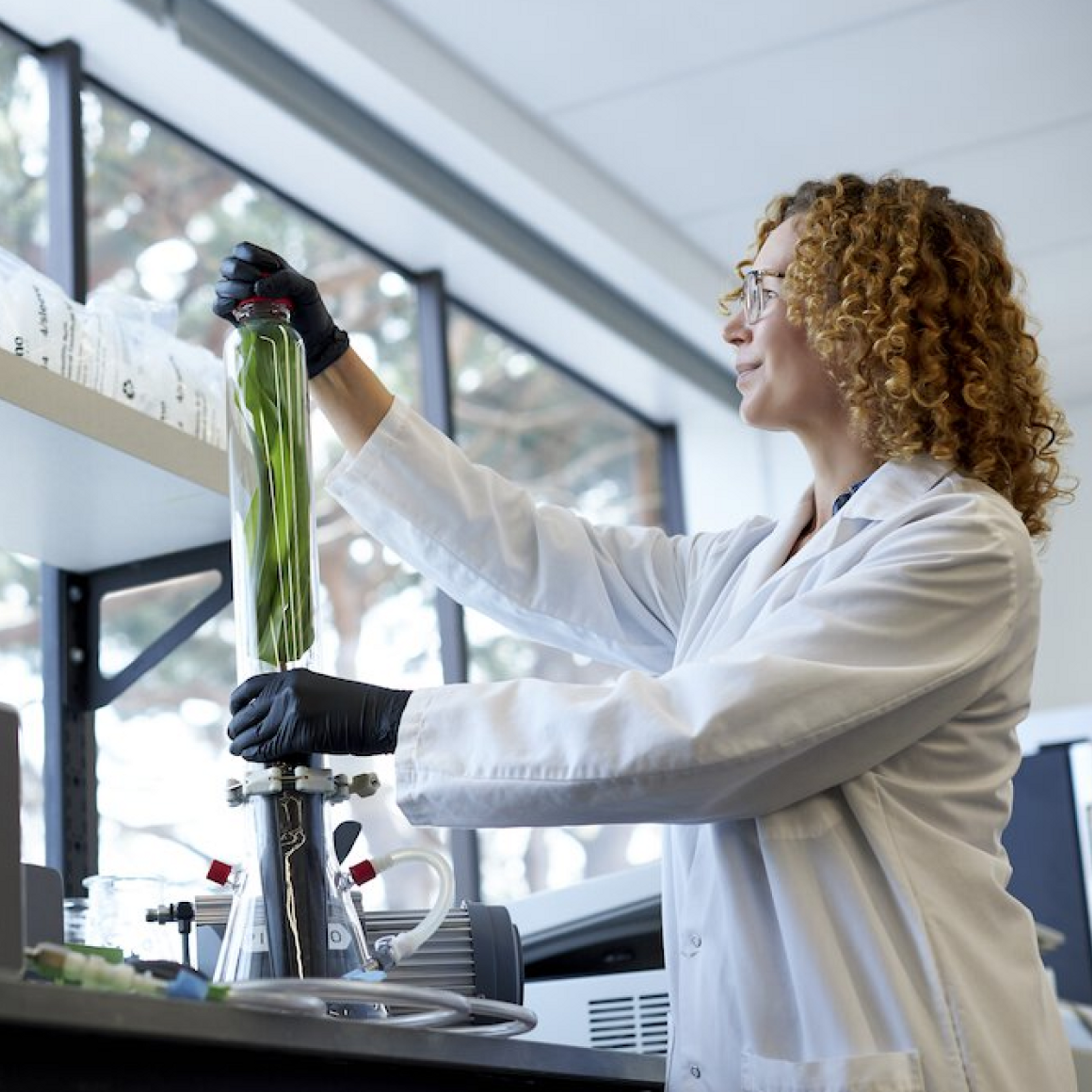 Photo of Development Scientist with spectrometer to measure acetylene reduction activity in a plant sample