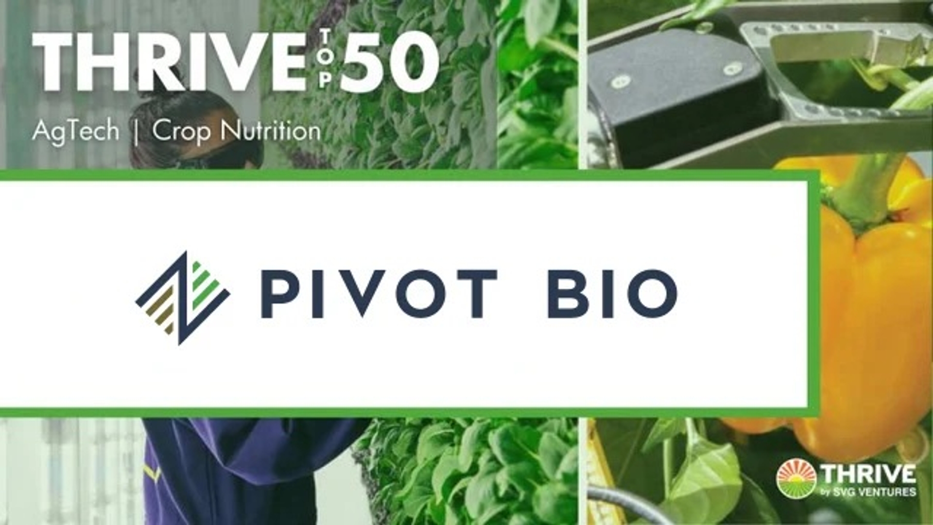Pivot Bio Recognized as Leader in AgTech, ClimateTech, FoodTech | Pivot Bio