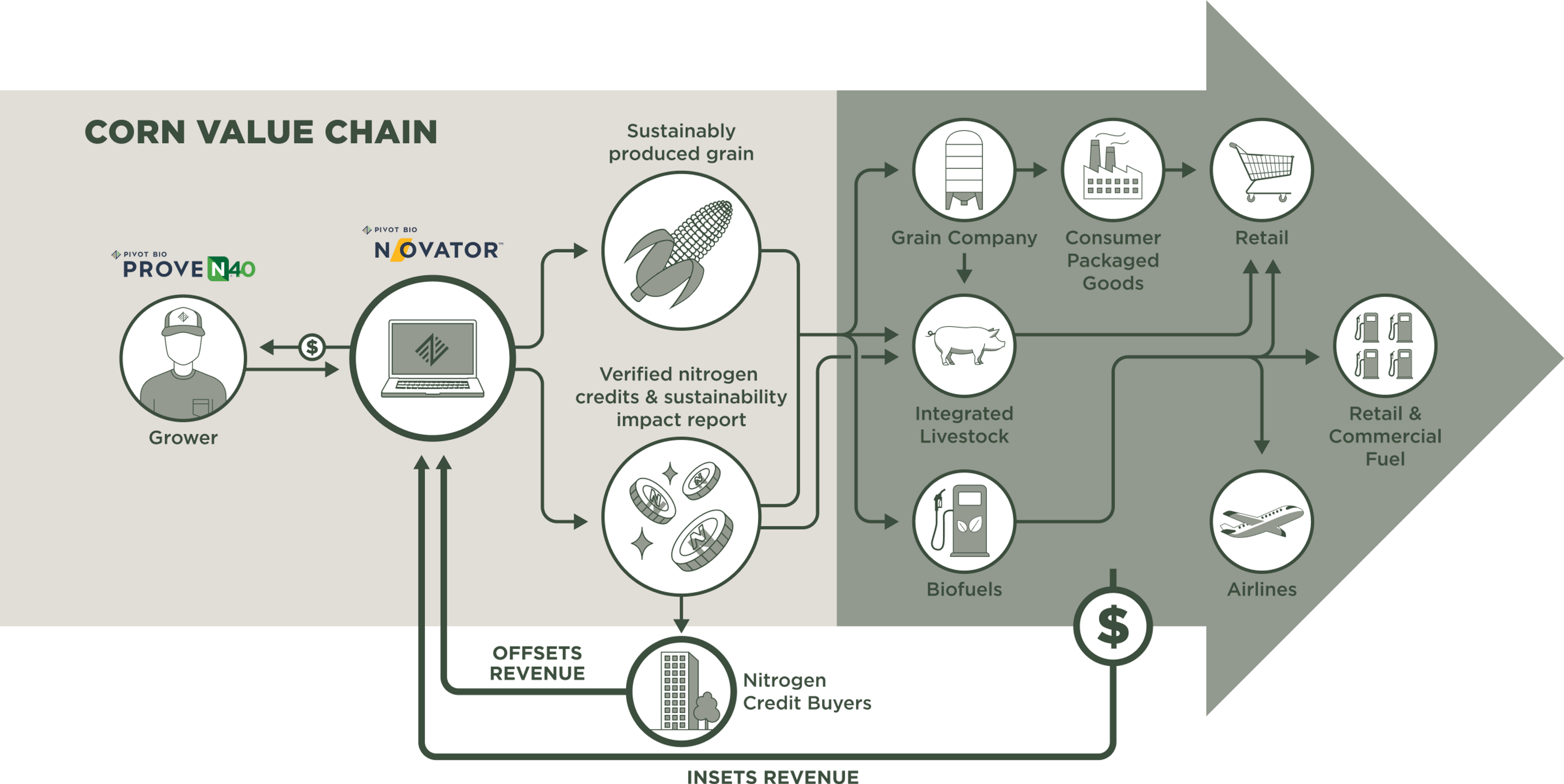 Illustration of the corn value chain 