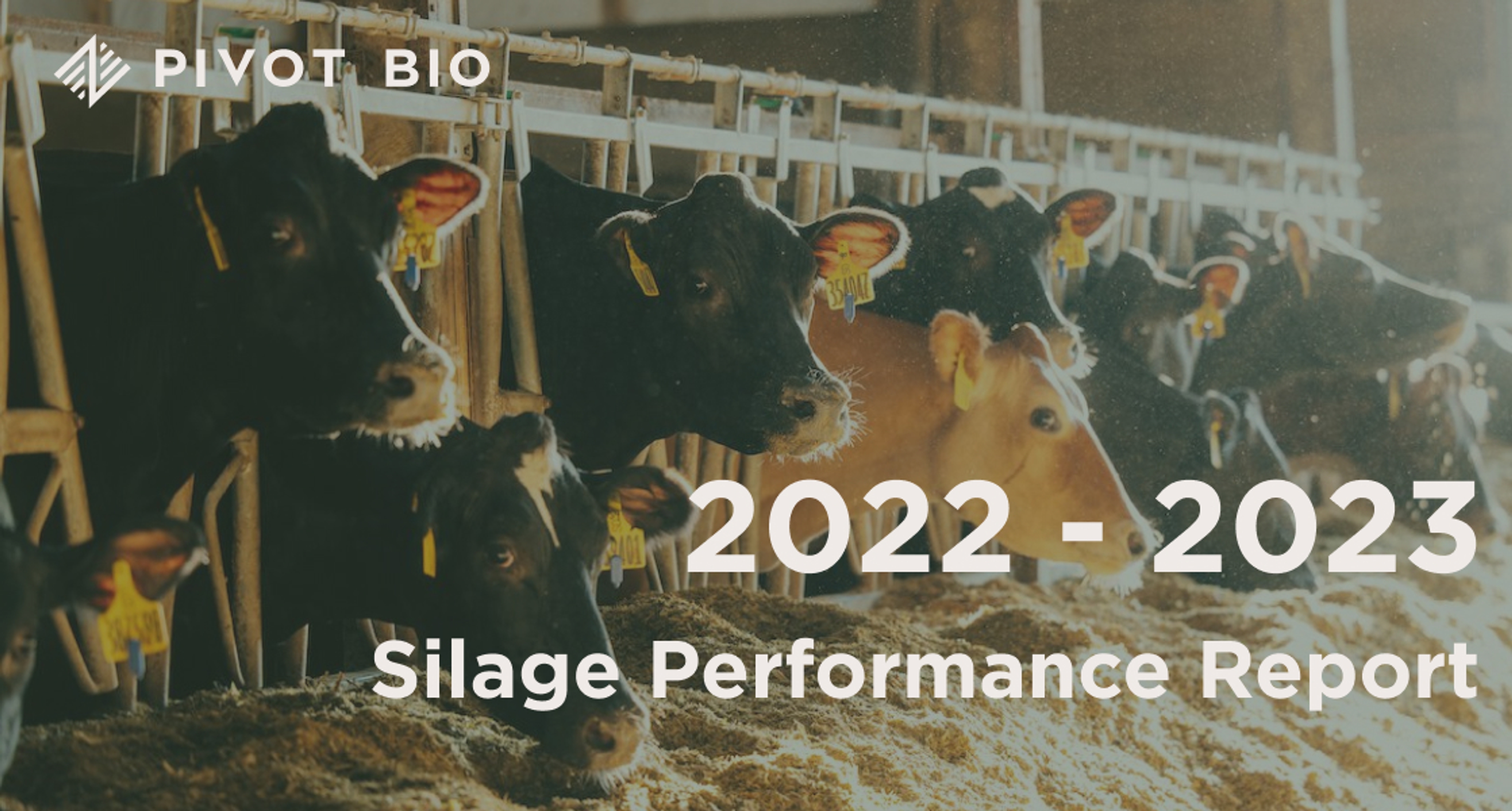 PROVEN® 40 Silage Report 2022-2023