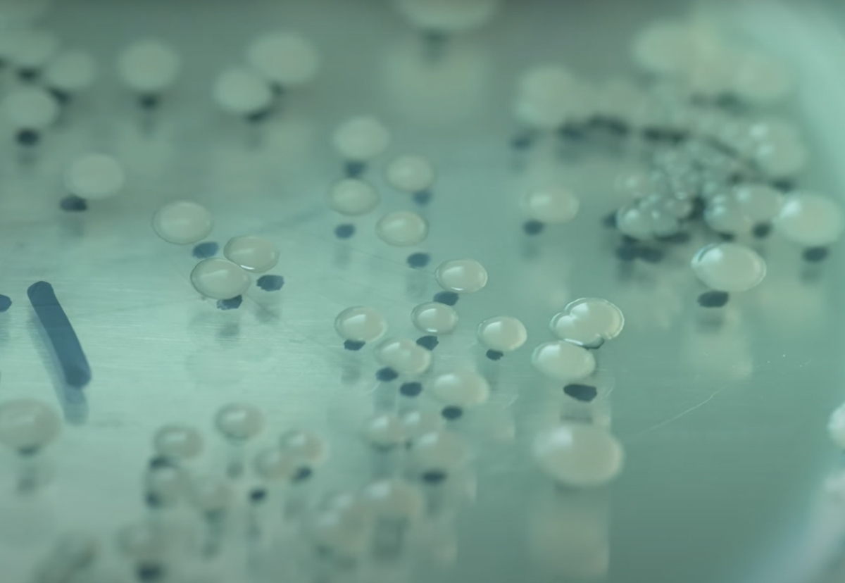Our Technology | Pivot Bio