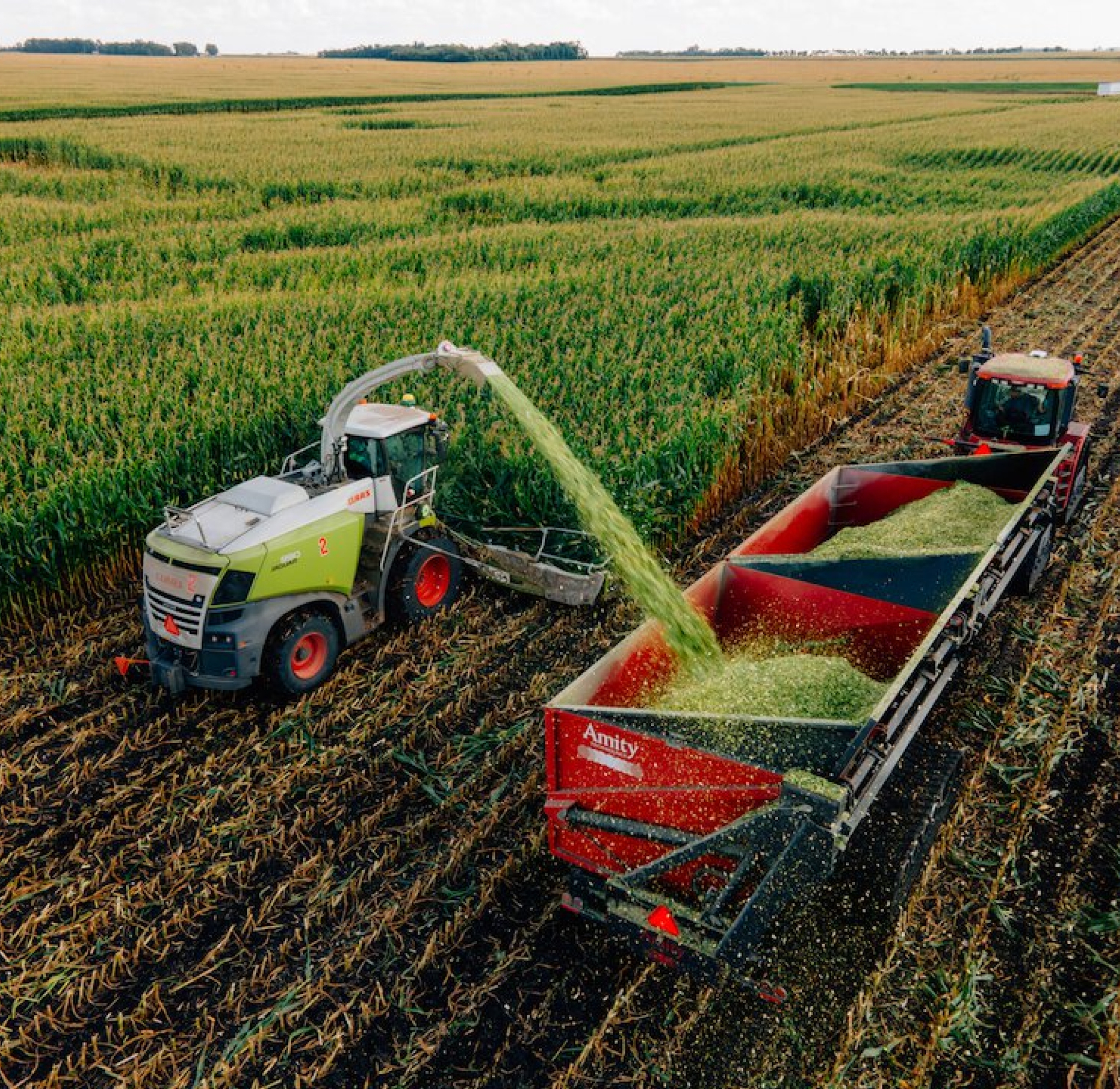 Farmer & Pivot Bio Rep Look at the Root of a Corn Crop