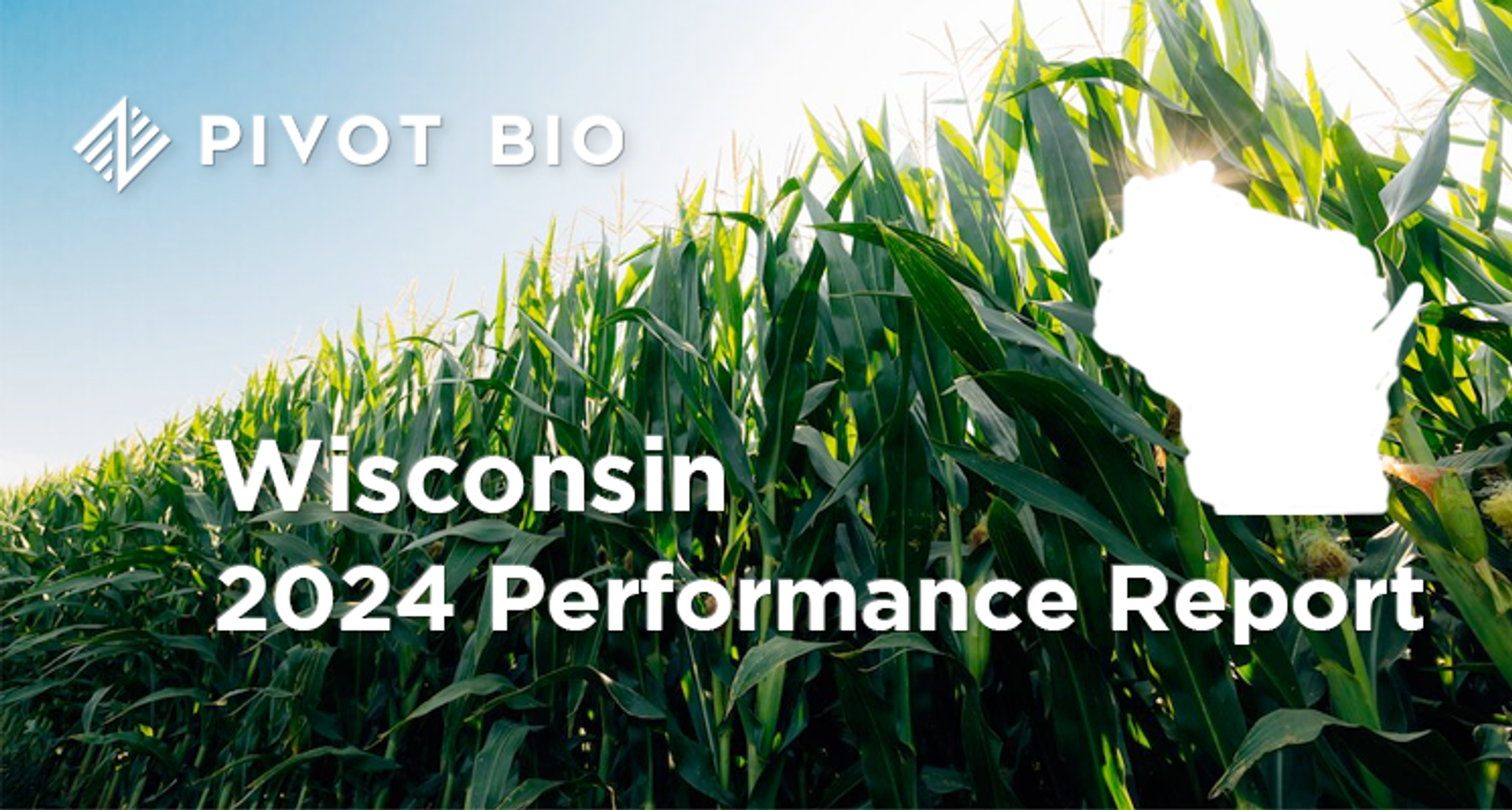 2024 Performance Report - Wisconsin