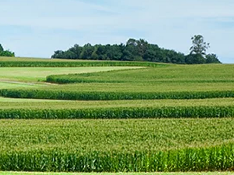 Optimizing Nitrogen with Microbes | Pivot Bio