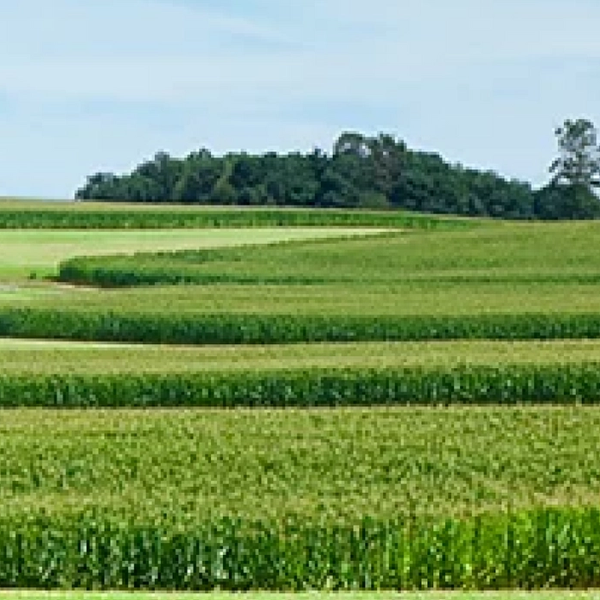Optimizing Nitrogen with Microbes | Pivot Bio