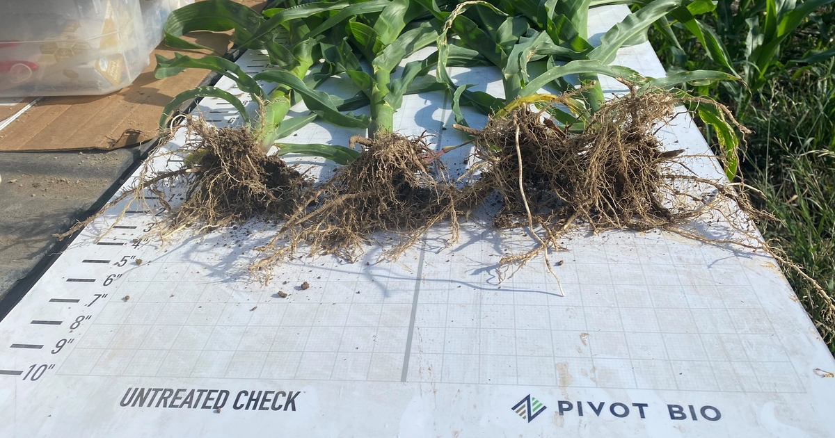 PROVEN® Performance | Pivot Bio