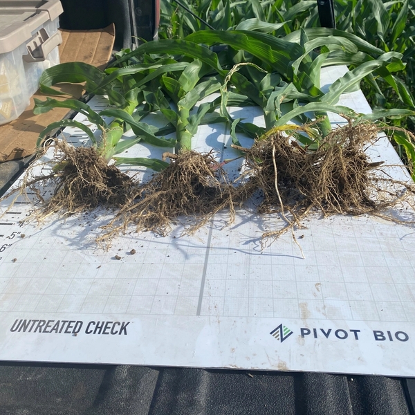 PROVEN® Performance | Pivot Bio