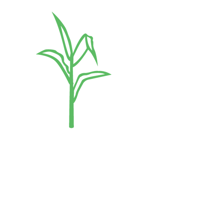 Pivot Bio Internship Program Pivot Bio