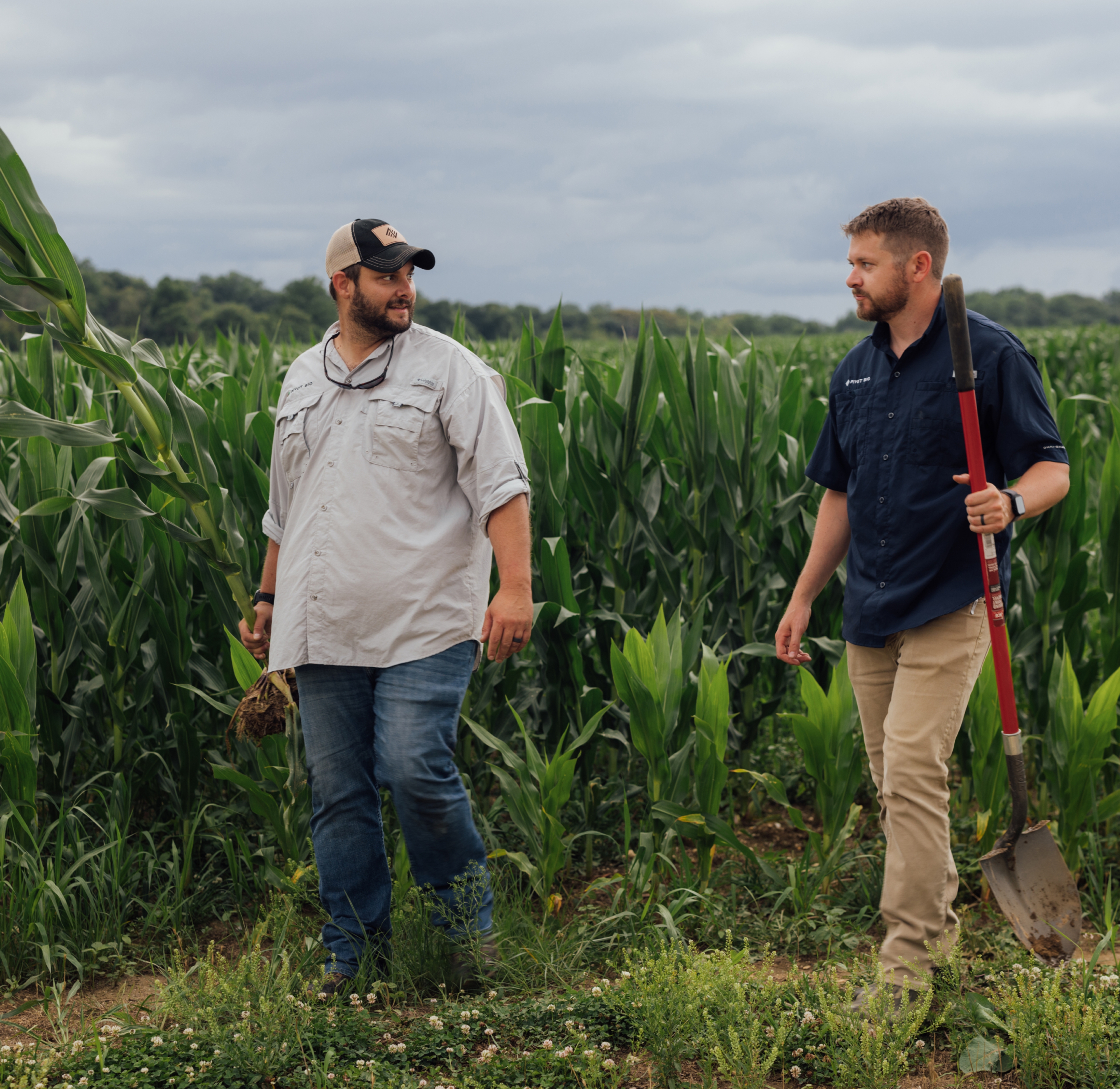 Pivot Bio Farmers in a field