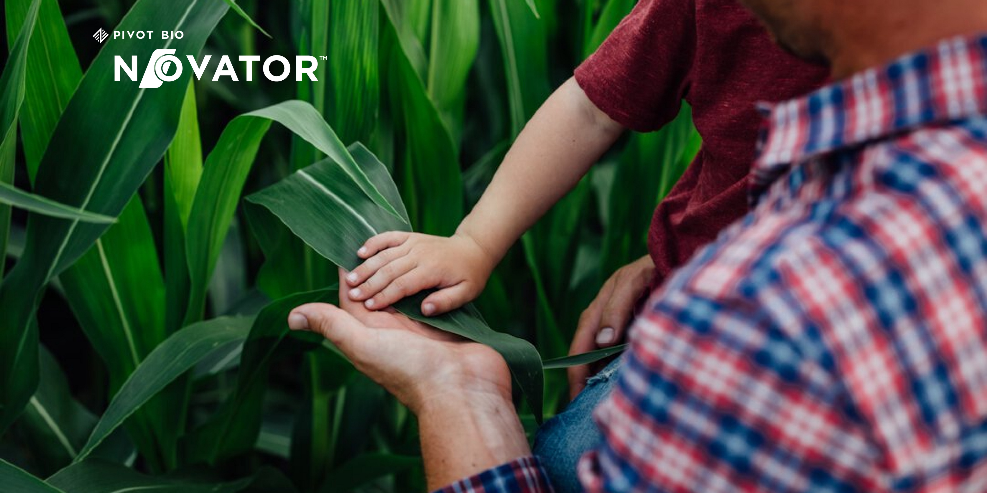 Dad and son touching a corn plant leaf