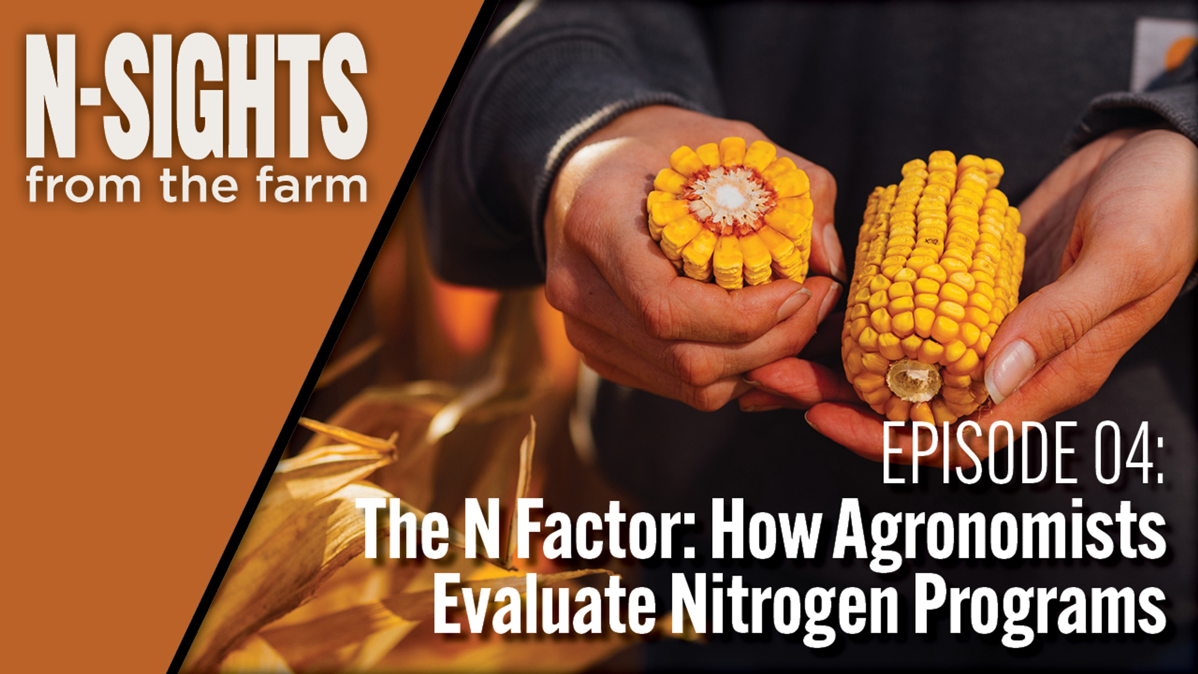 N-Sights from the Farm: Evaluating Nitrogen Programs