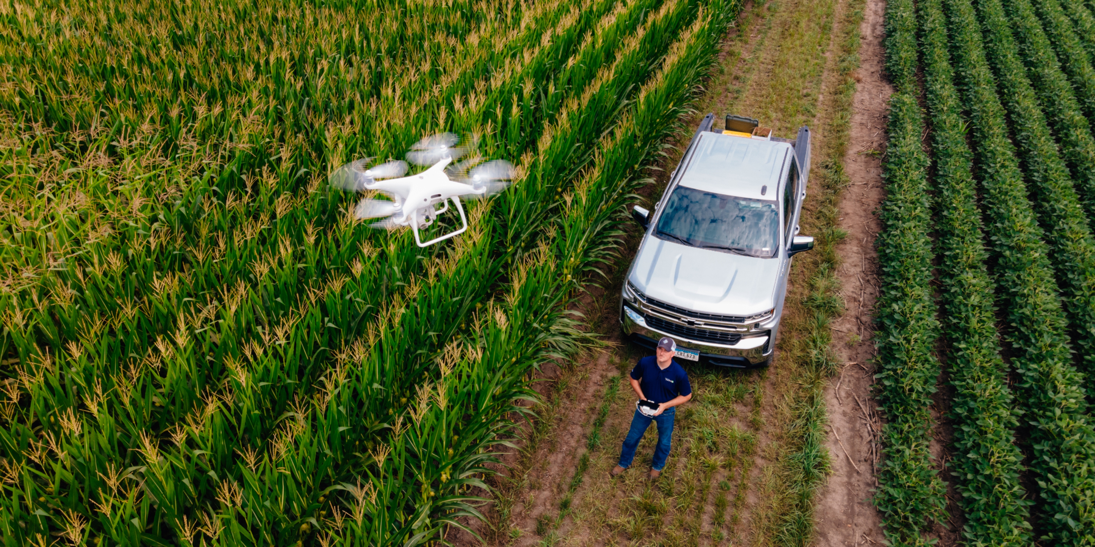 Pivot Bio Agronomist Using a Drone in a Corn Field