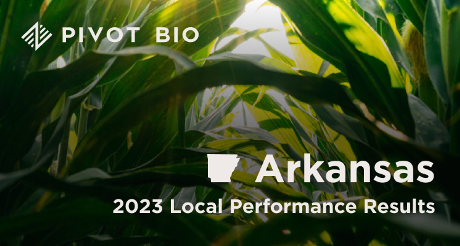 Arkansas 2023 Local Performance Results