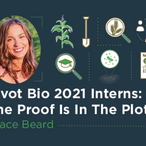 Pivot Bio 2021 Interns: The Proof is in the Plot | Pivot Bio