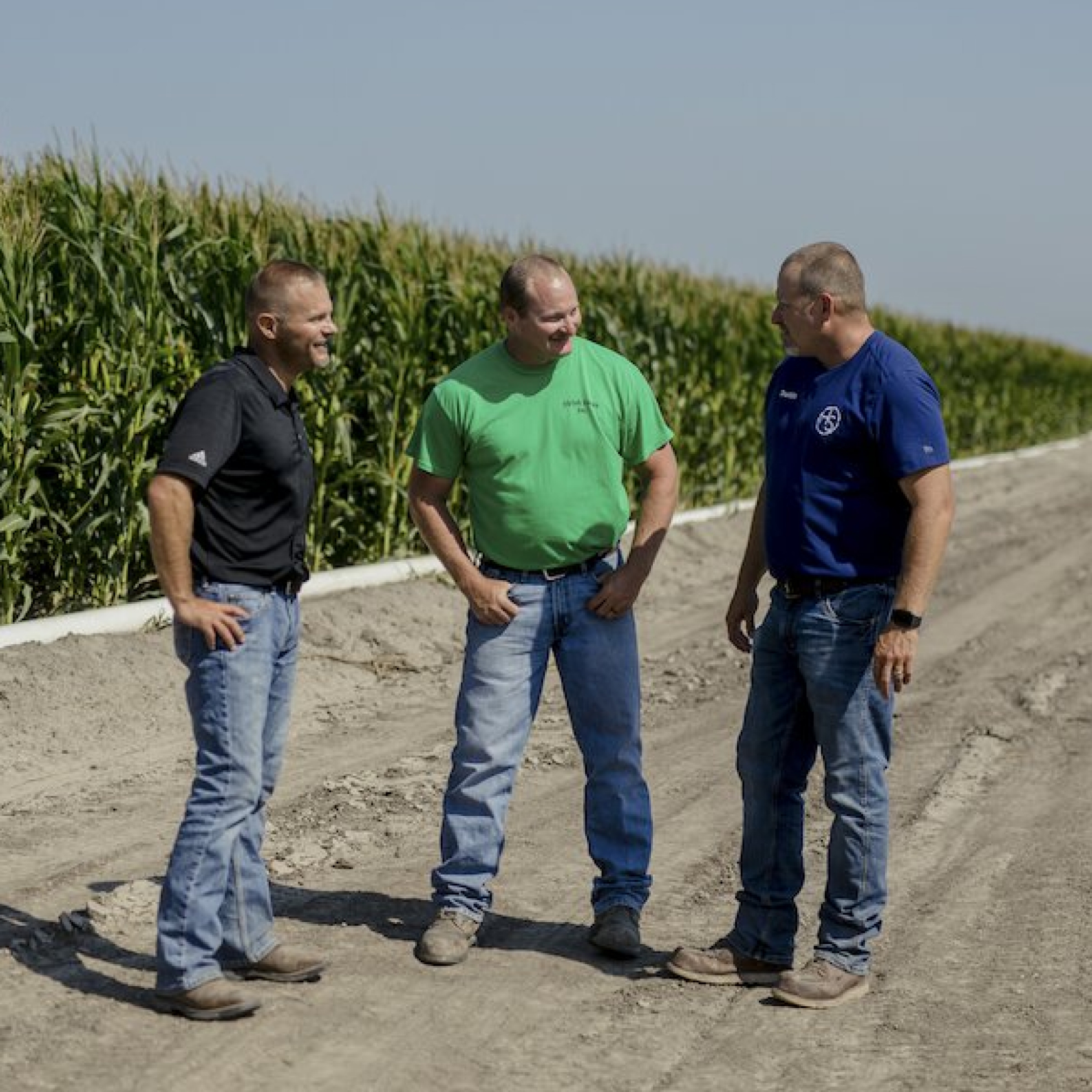 A photo of three farmers talking on a dirt pathway near a cornfield