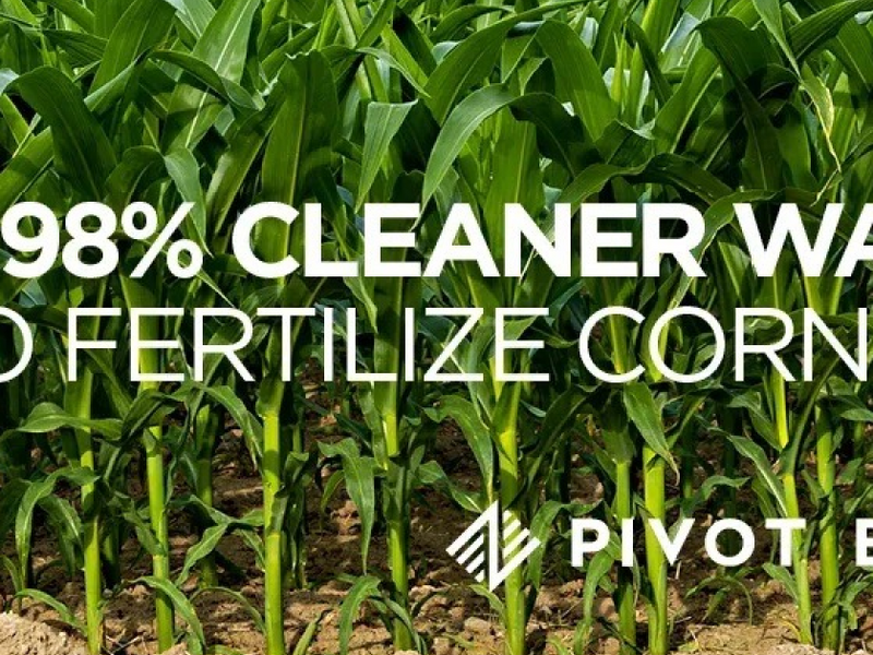 A 98% Cleaner Way to Fertilize Corn | Pivot Bio