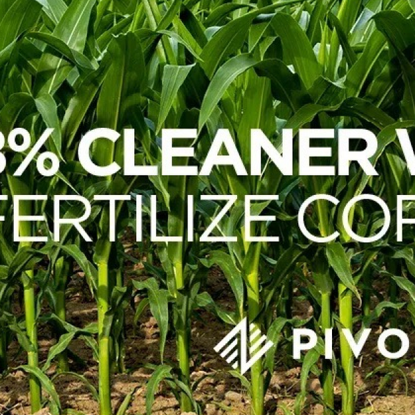 A 98 Cleaner Way To Fertilize Corn Pivot Bio a-98-cleaner-way-to-fertilize-corn-pivot-bio