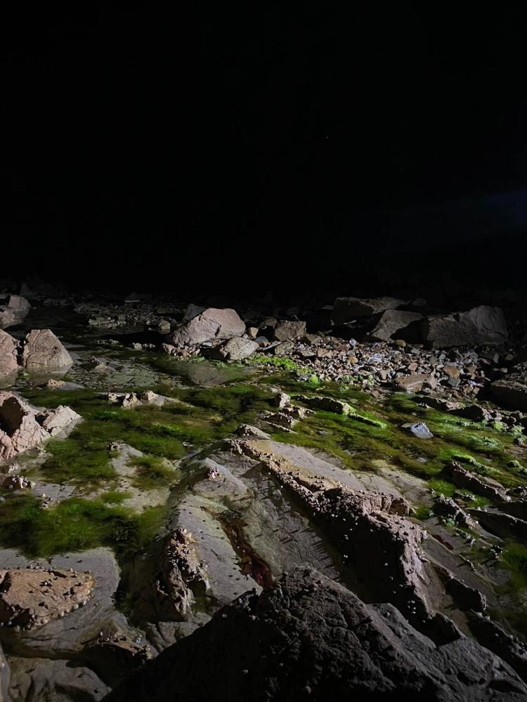 Missing alternative text