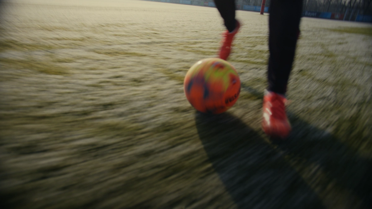 Missing alternative text