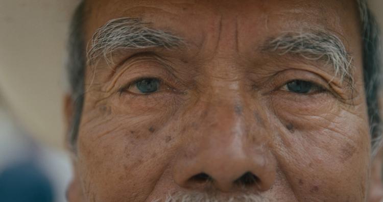 Missing alternative text