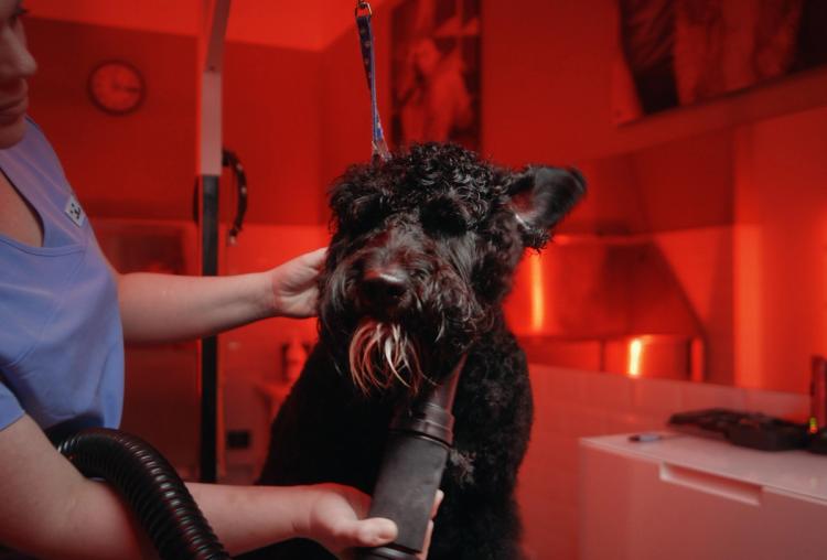 Missing alternative text