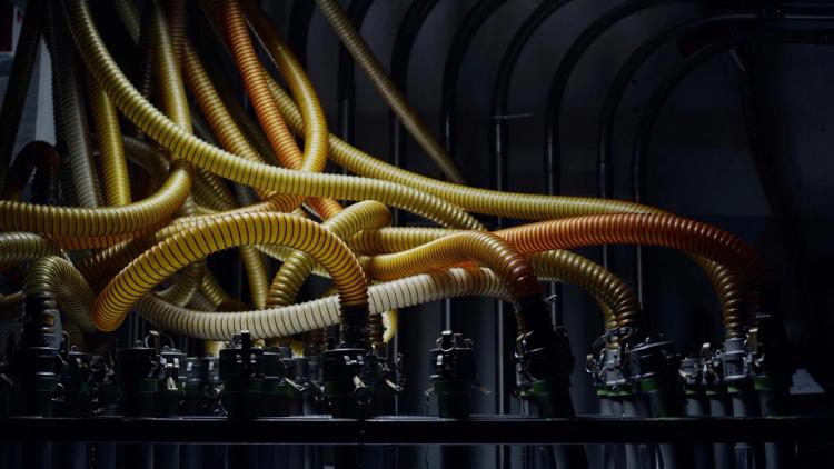 Missing alternative text