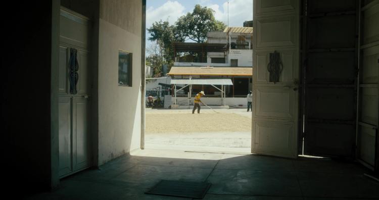 Missing alternative text