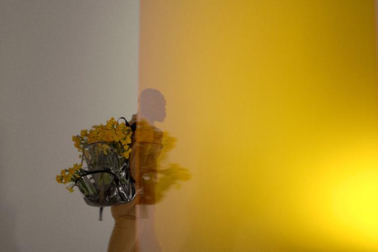 Missing alternative text