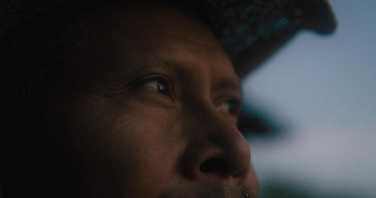 Missing alternative text