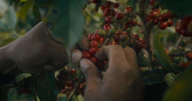 Missing alternative text