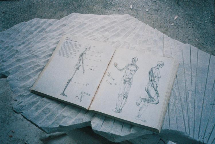 Missing alternative text