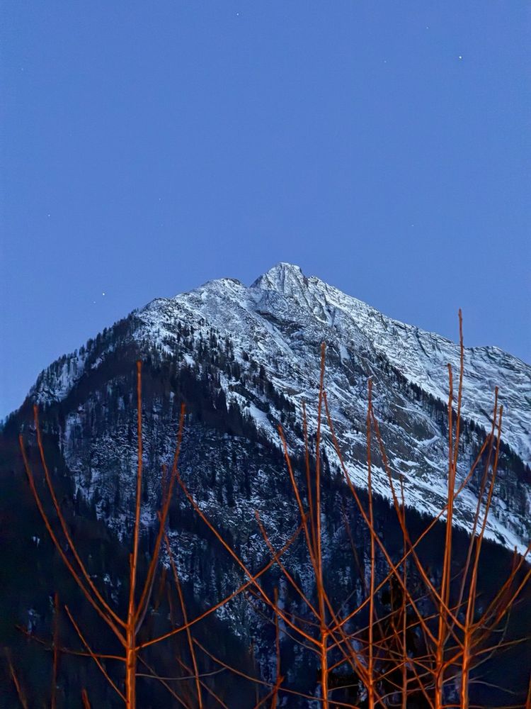 Missing alternative text