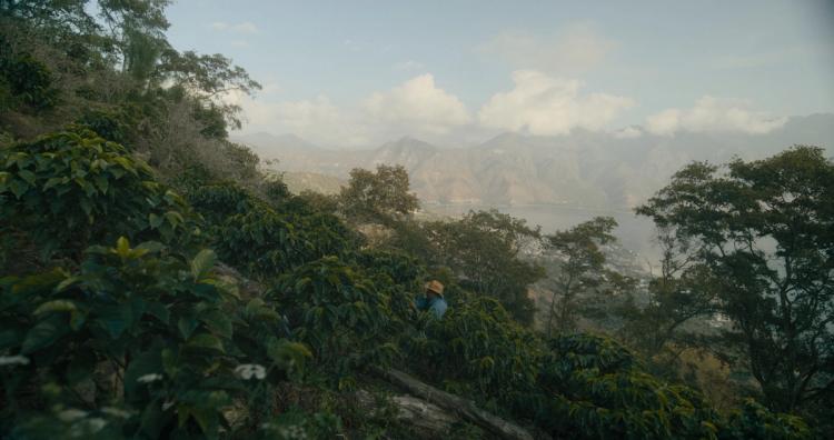 Missing alternative text