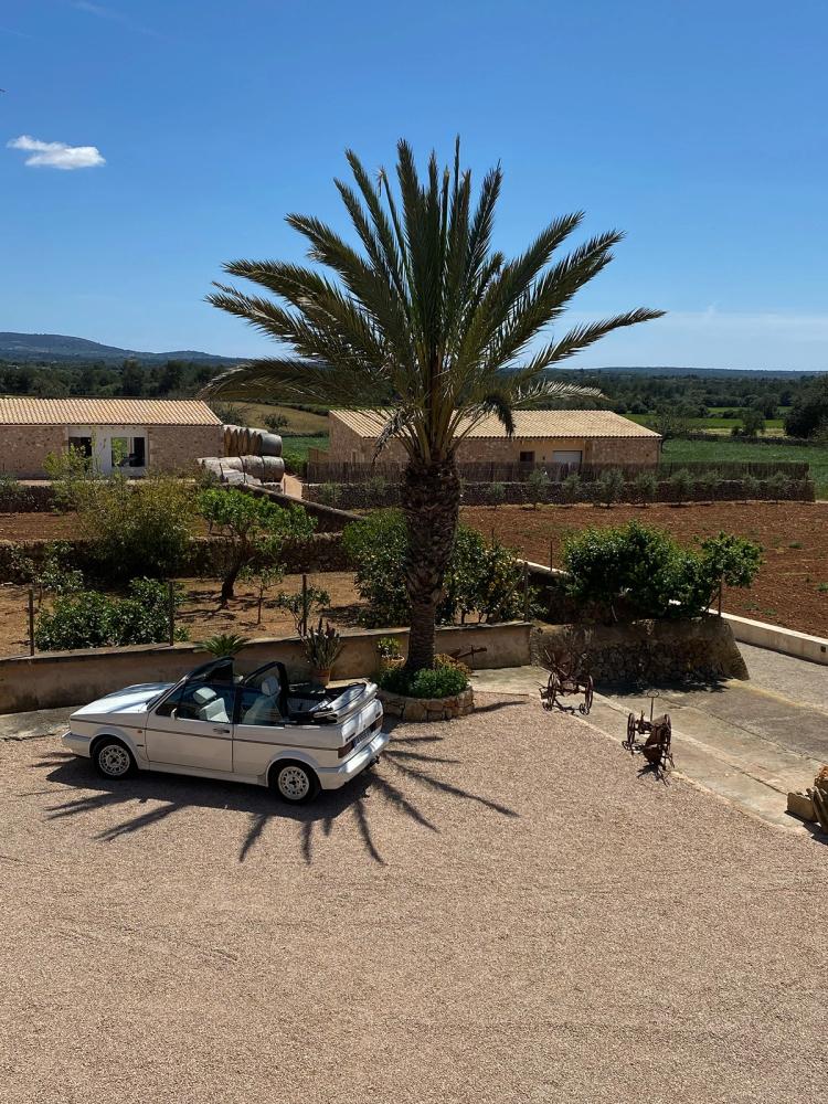 Missing alternative text