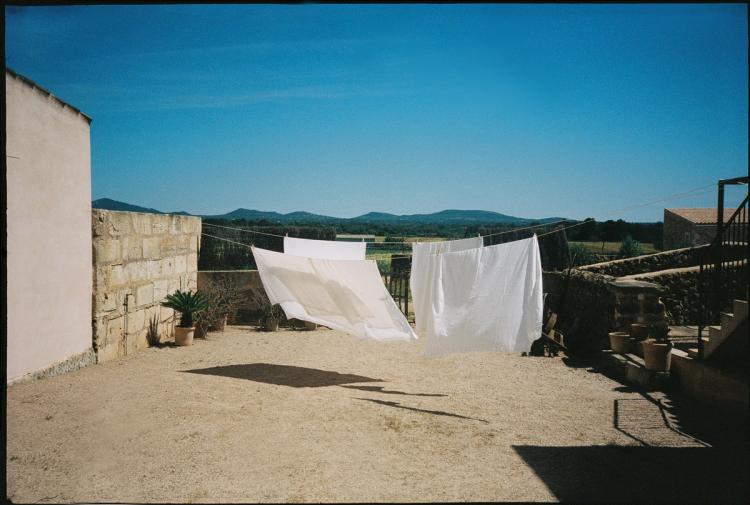 Missing alternative text