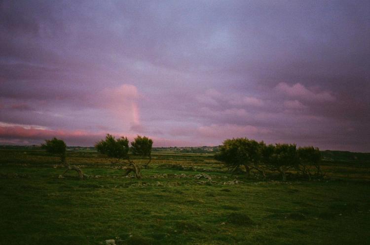 Missing alternative text