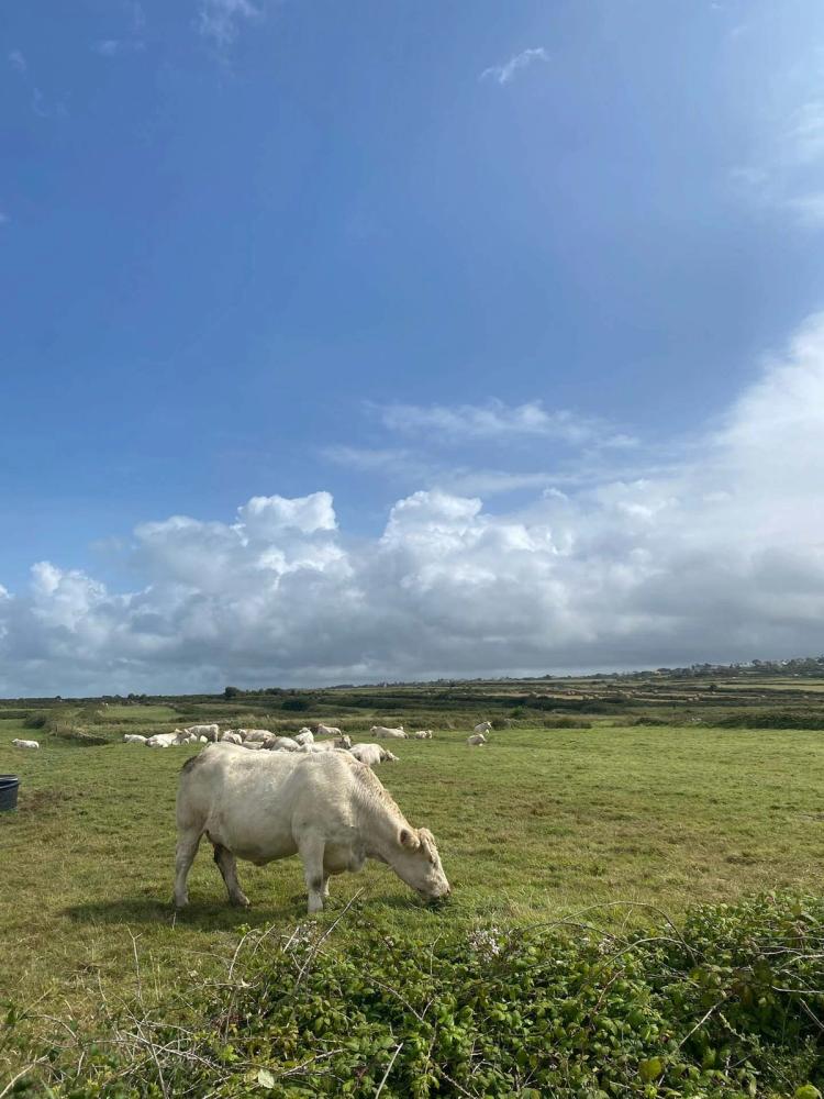 Missing alternative text