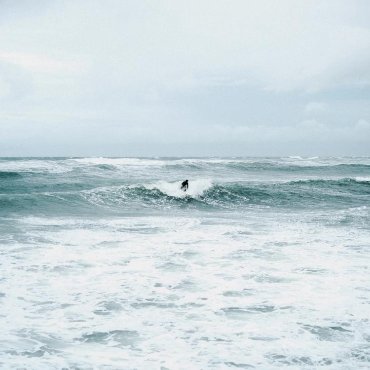 Missing alternative text