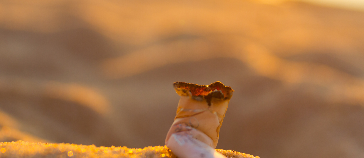 Cover Image for Izsmēķi kā viens no izplatītākajiem piesārņotājiem: LIFE projekts pierāda, ka infrastruktūra var mainīt gan vidi, gan cilvēku paradumus