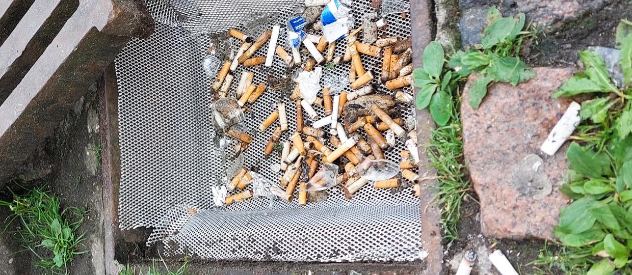 Cover Image for Eksperimenta rezultāti: ik dienu caur lietusūdens notekām dabā nonāk tūkstošiem cigarešu izsmēķu