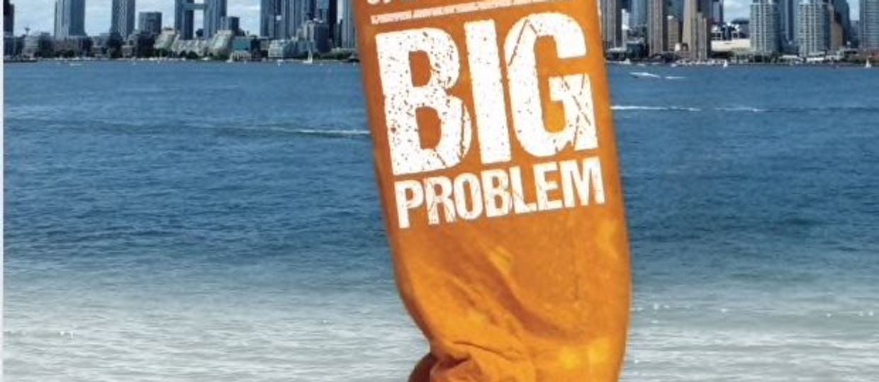 Cover Image for SMALL ITEM/ BIG PROBLEM - Toronto