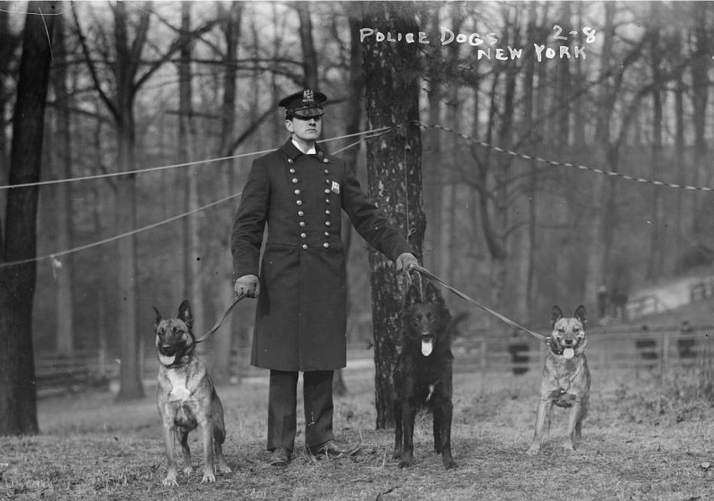 Early black and white photography of a formal policeman with three dogs