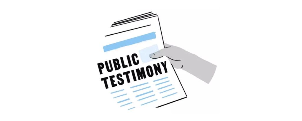 Public testimony icon